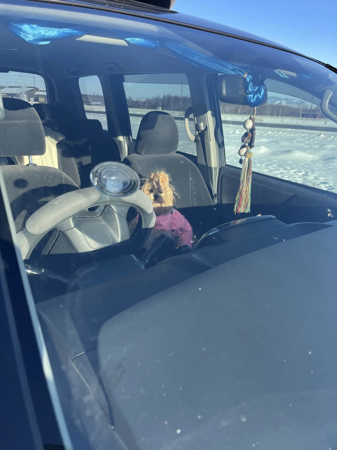 Отзыв о экскурсии "Сакральные маршруты Бурятии: из Улан-Удэ к буддийской богине Янжиме" — фото 4