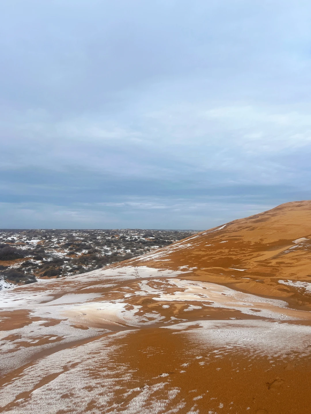 Отзывы об экскурсиях в Астрахани