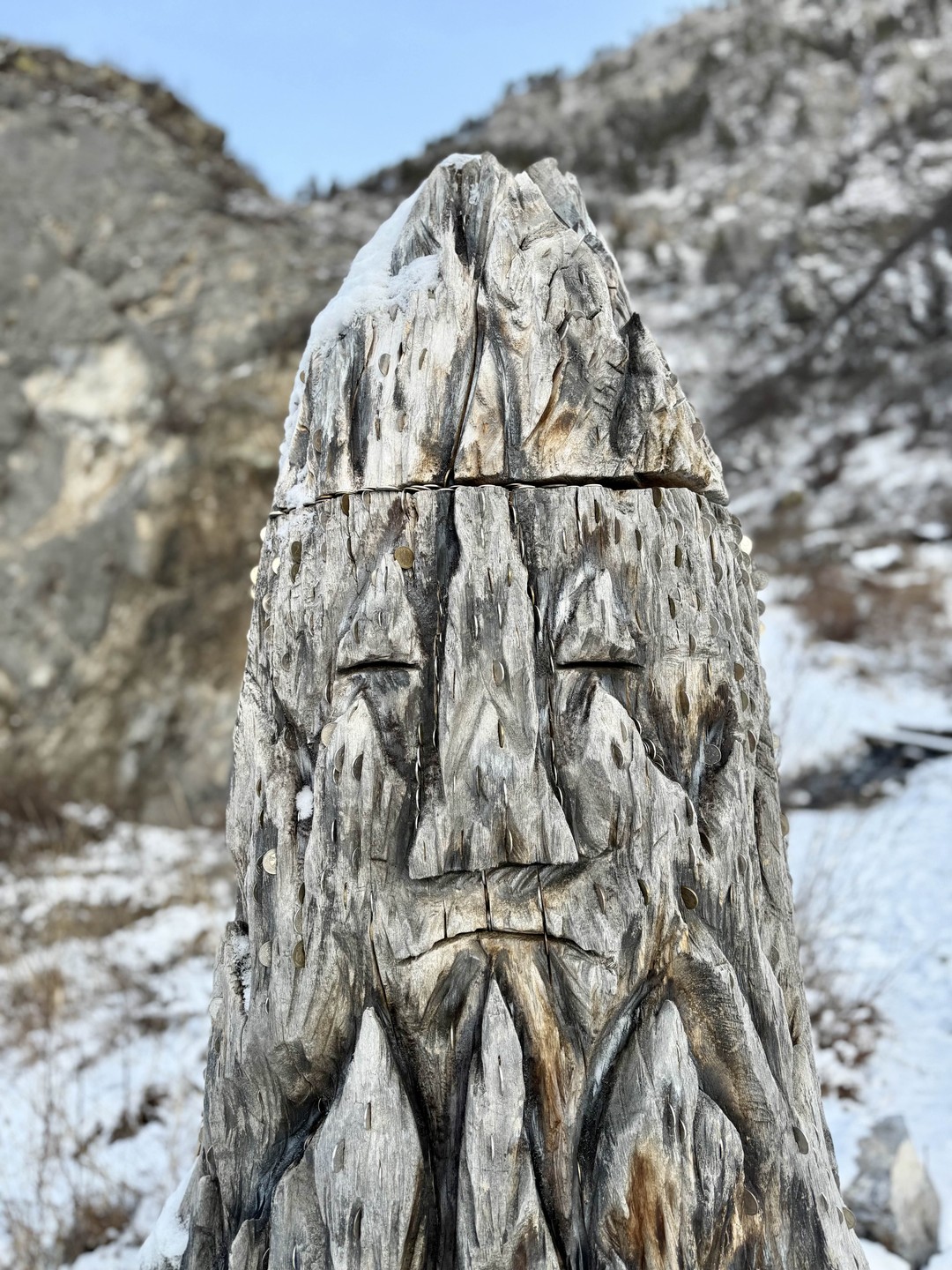 Отзыв о экскурсии "Путешествие в Чемал: открыть природу Горного Алтая" — фото 6