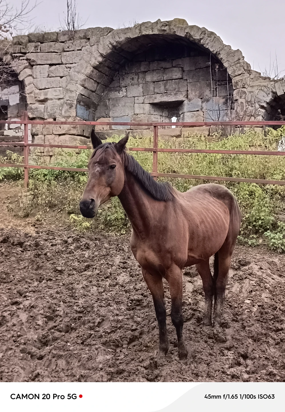 Отзыв о экскурсии "Серпухов из века в век: экскурсия на автомобиле" — фото 5