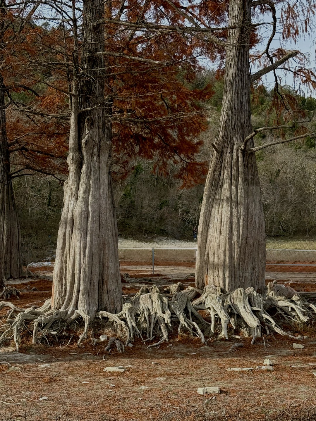 Фото путешественника — 4