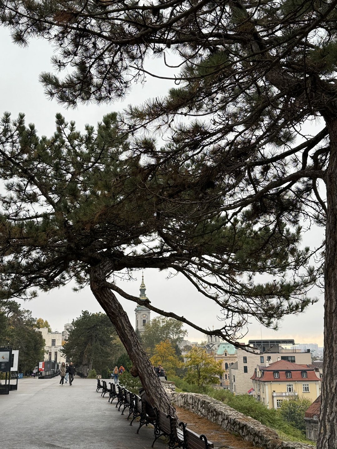 Отзыв о экскурсии "О Белграде с любовью!" — фото 2