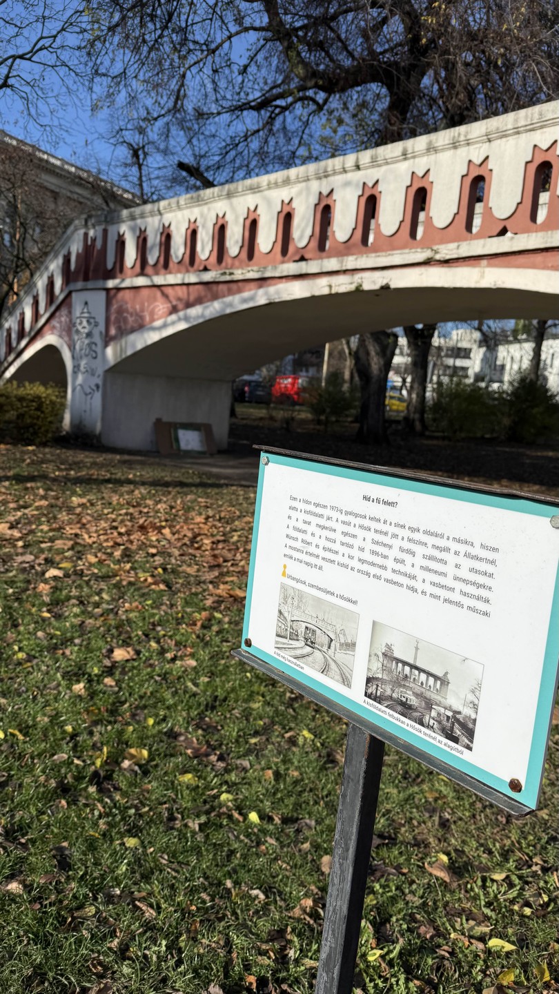 Фото путешественника — 8