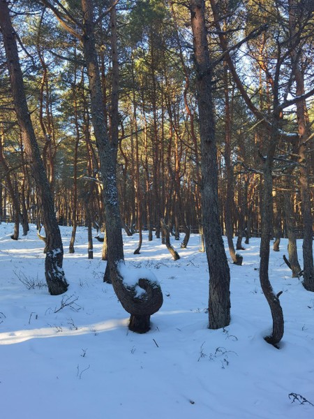 Фото путешественника — 4