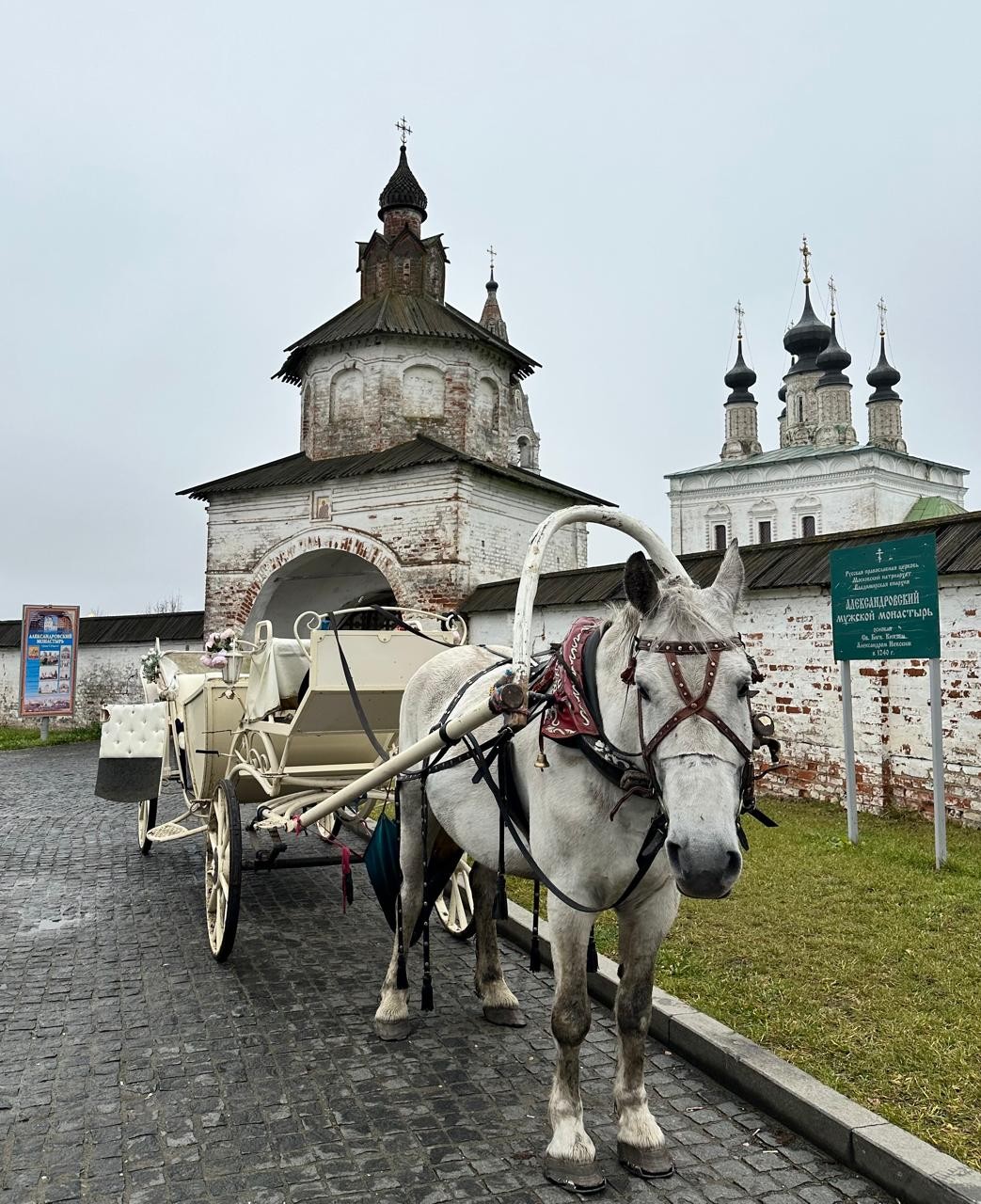 Отзыв о экскурсии "Суздаль: самый русский город" — фото 6