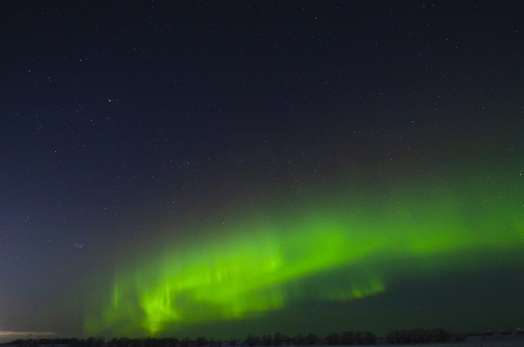 Отзыв о экскурсии "К Белому морю на остров Ягры" — фото 7