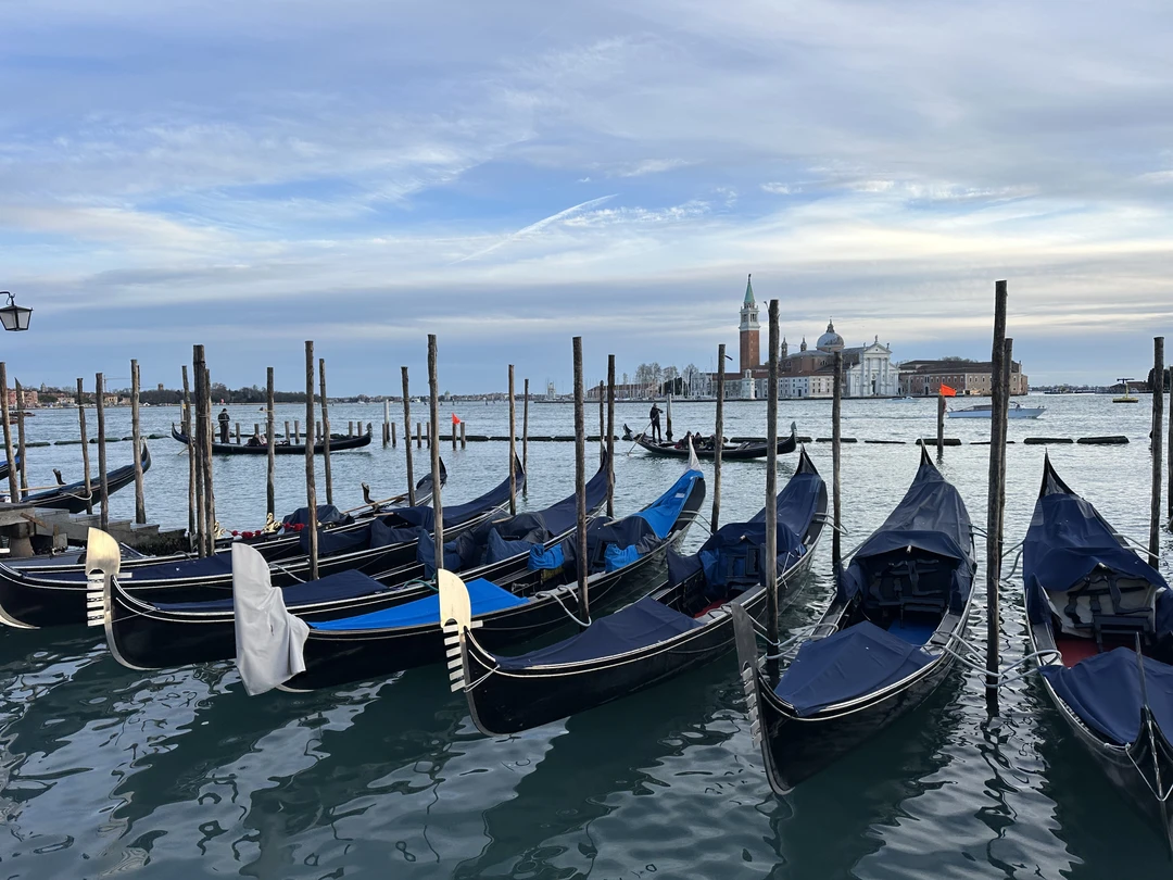 Отзыв о экскурсии "Венеция глазами местного жителя" — фото 4