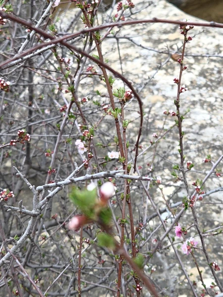 Фото путешественника — 4