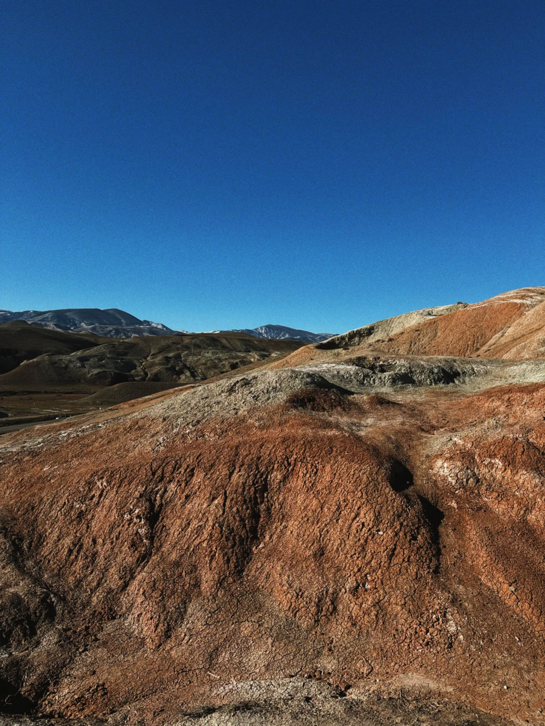 Отзыв о экскурсии "Яркость на максимум: розовое озеро, марсианские пейзажи и пикник на горе" — фото 4