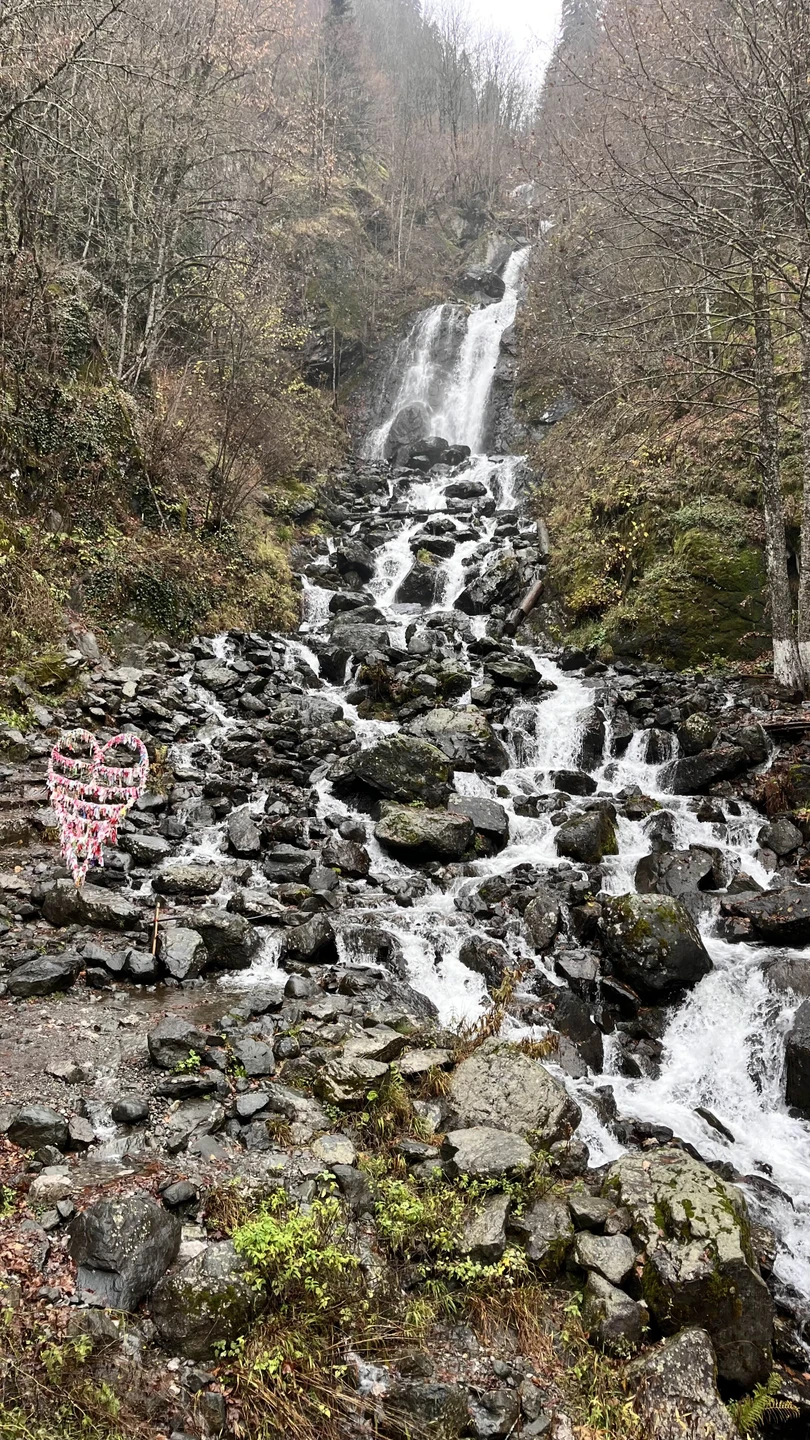 Отзыв о экскурсии "Абхазия с открытки — из Сочи и Адлера" — фото 3