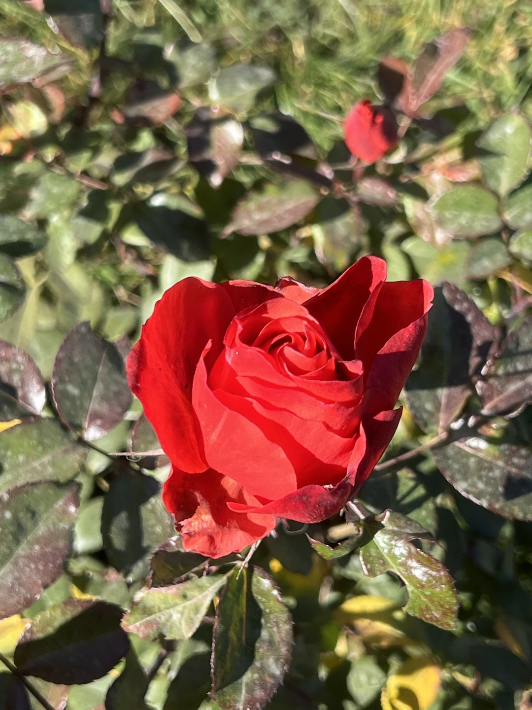 Отзыв о экскурсии "Из Тбилиси в Казбеги на микроавтобусе!" — фото 1