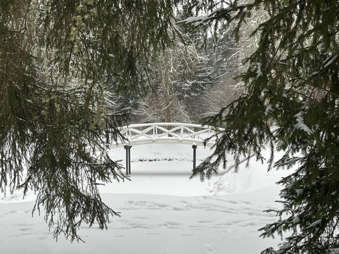 Фото путешественника — 2