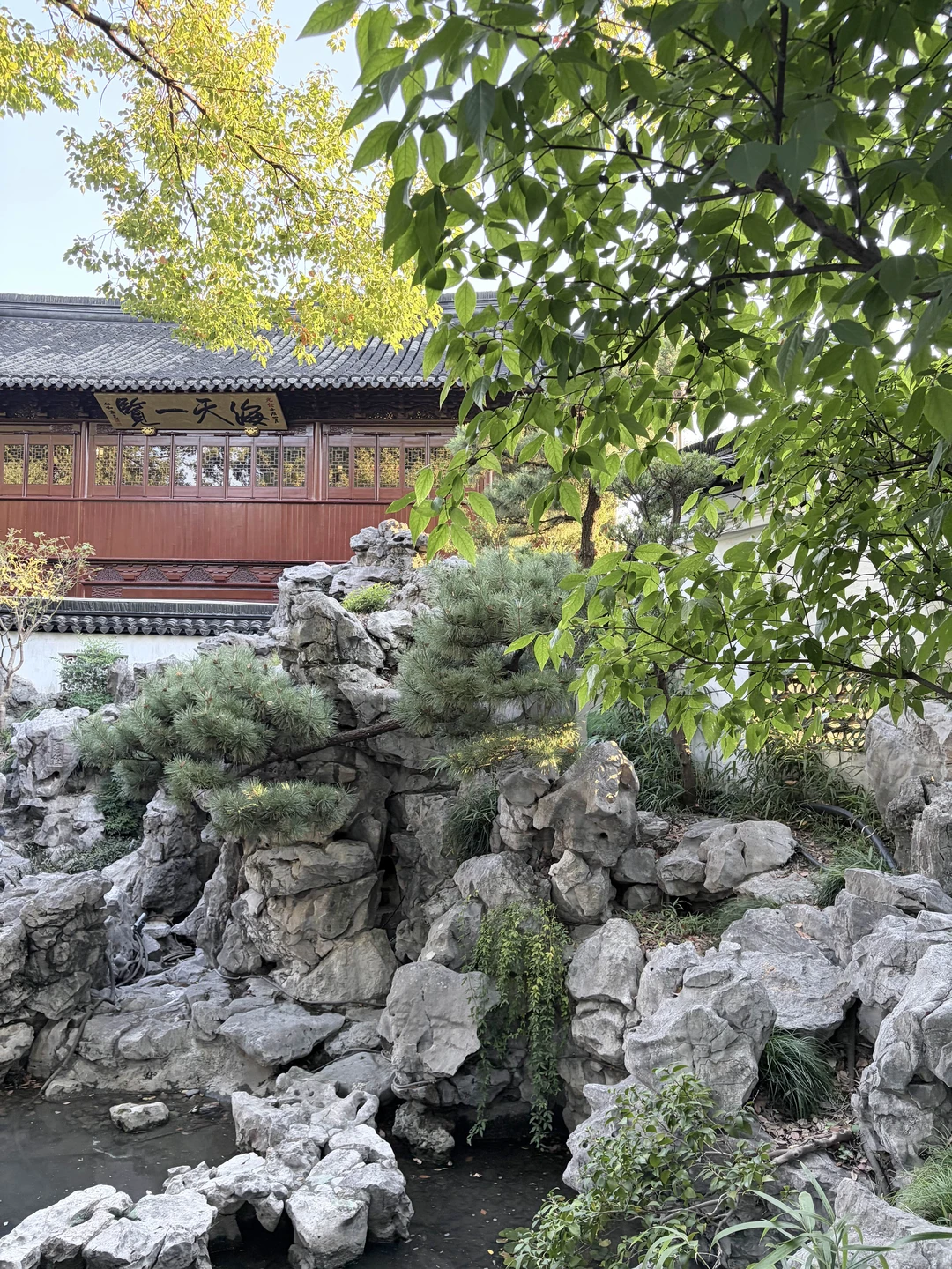 Отзыв о экскурсии "Весь Шанхай за один день" — фото 8