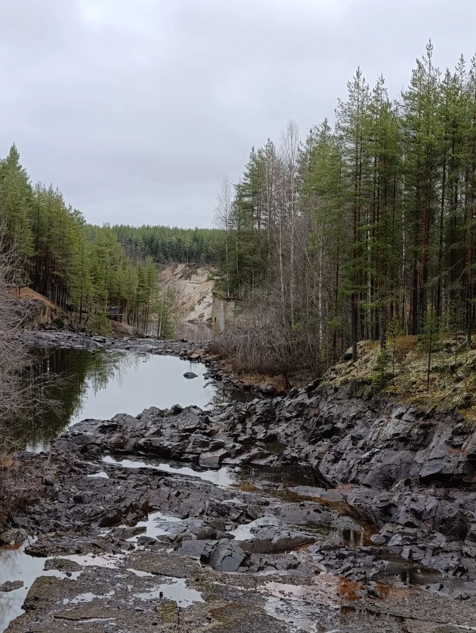 Отзыв о экскурсии "Автобусная экскурсия «Золотое кольцо Карелии» (из Петрозаводска)" — фото 2