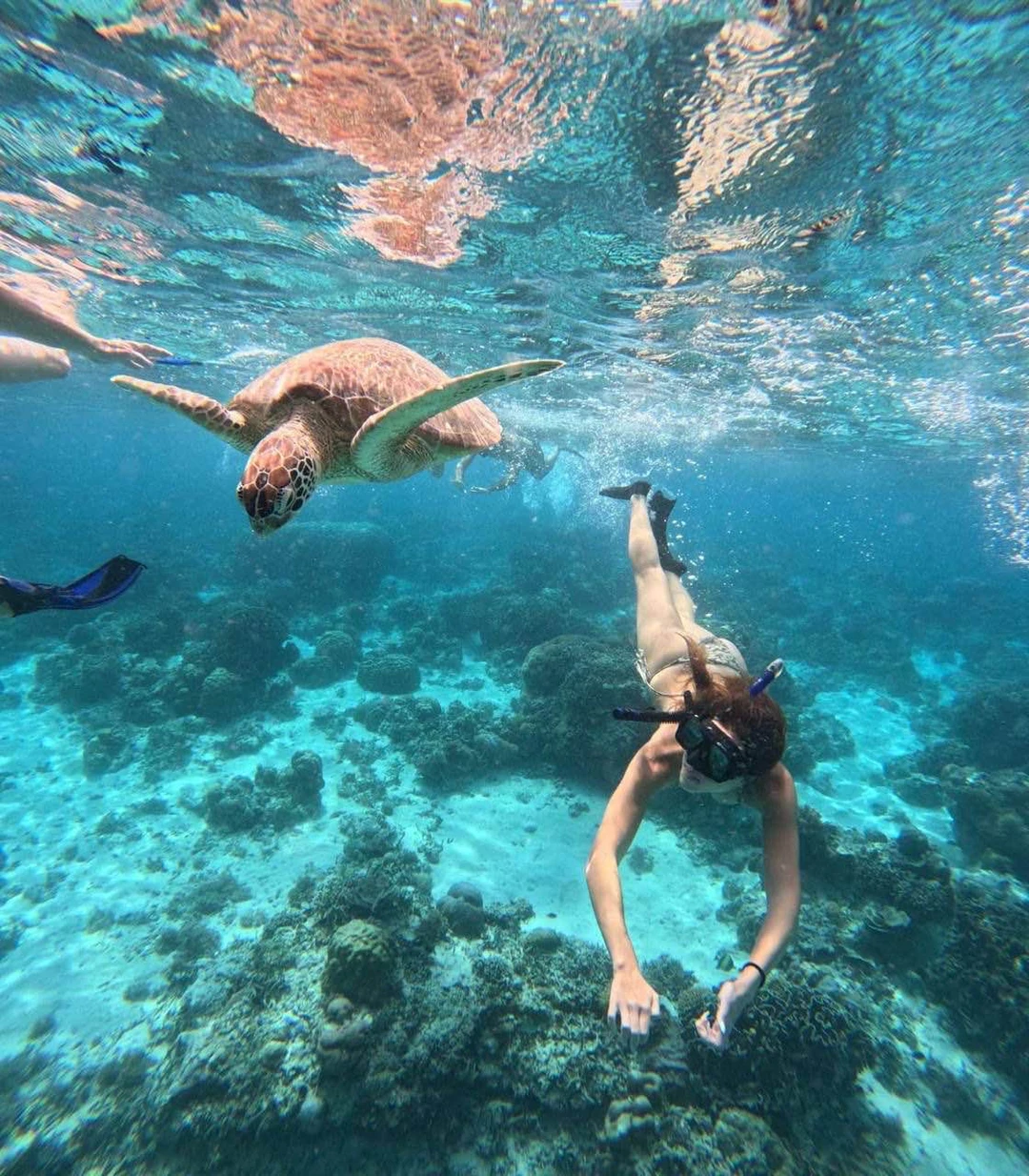Отзыв о экскурсии "Морская прогулка на частной лодке по островам Гили + снорклинг с черепахами" — фото 4