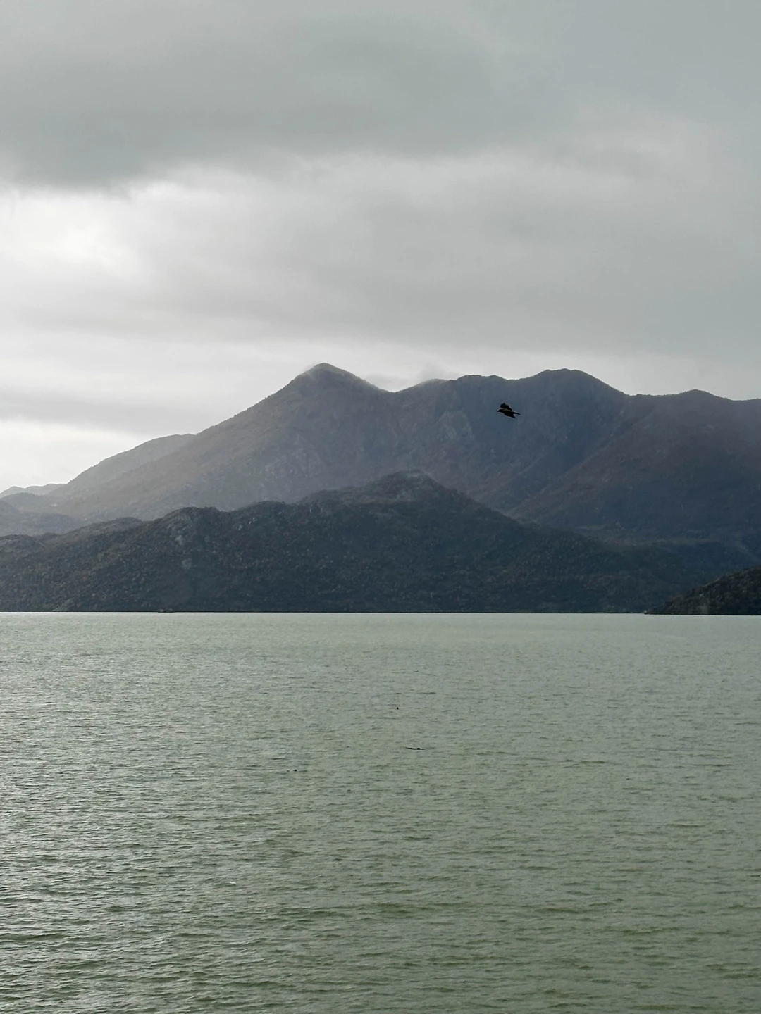 Фото путешественника — 6