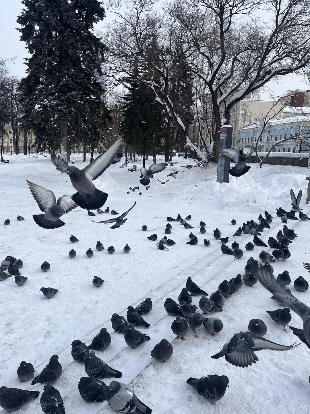 Отзыв о экскурсии "Добро пожаловать в Пермь!" — фото 2