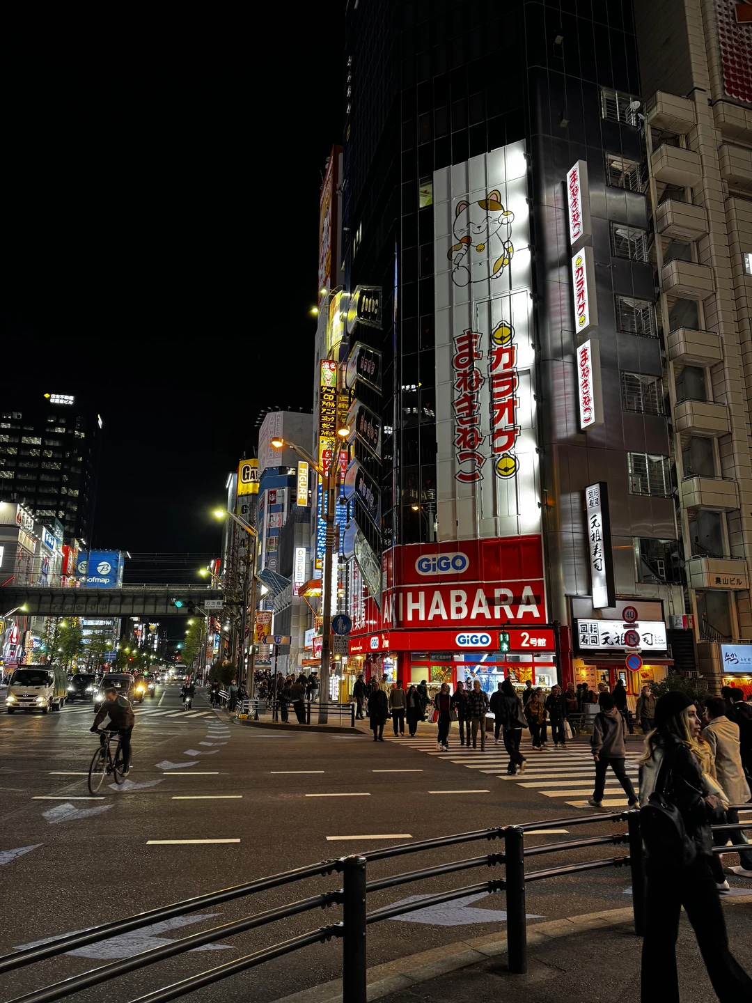 Отзыв о экскурсии "Ваш первый маршрут по Токио: адаптация за 8 часов" — фото 7