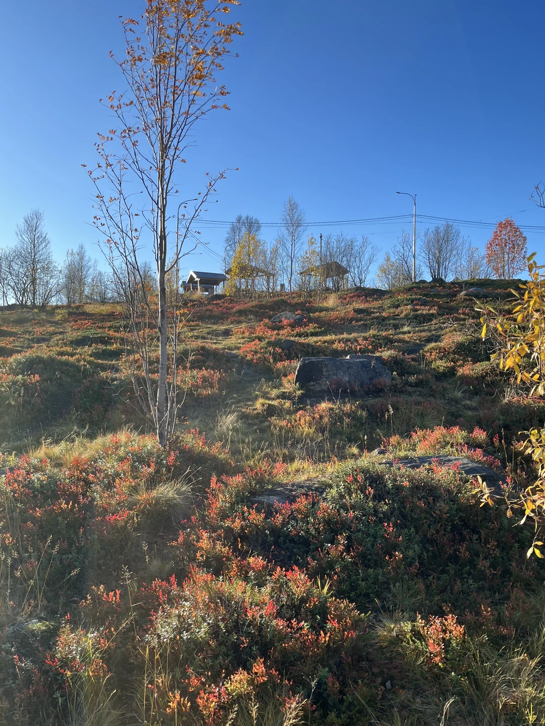 Отзыв о экскурсии "Тур за полярным кругом: Мурманск и Териберка в мини-группе" — фото 2