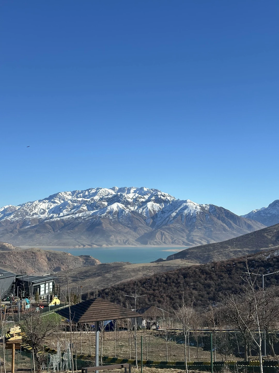 Отзыв о экскурсии "Из Ташкента — к величественным Чимганским горам!" — фото 6