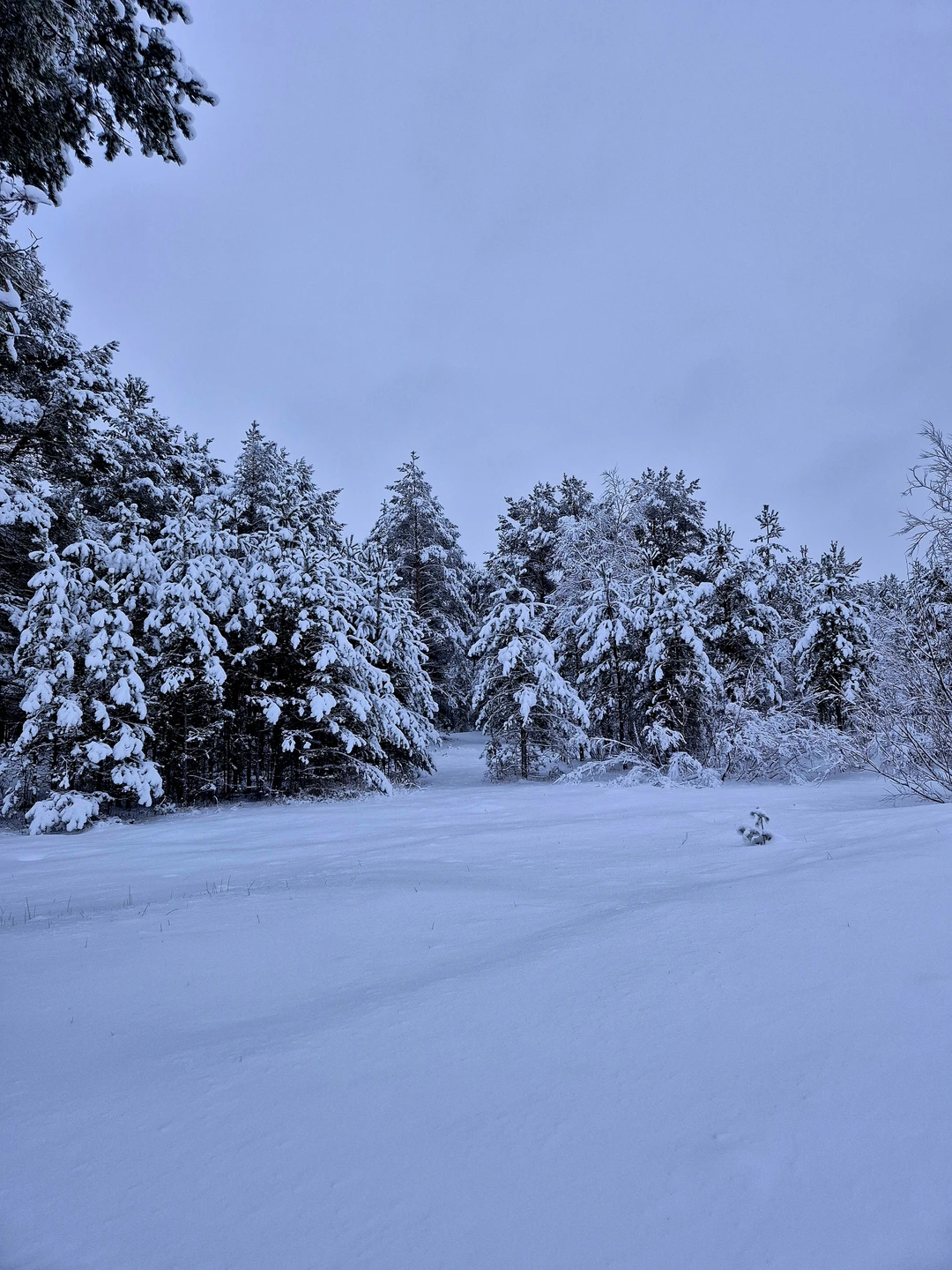 Отзыв о экскурсии "К Белому морю на остров Ягры" — фото 6