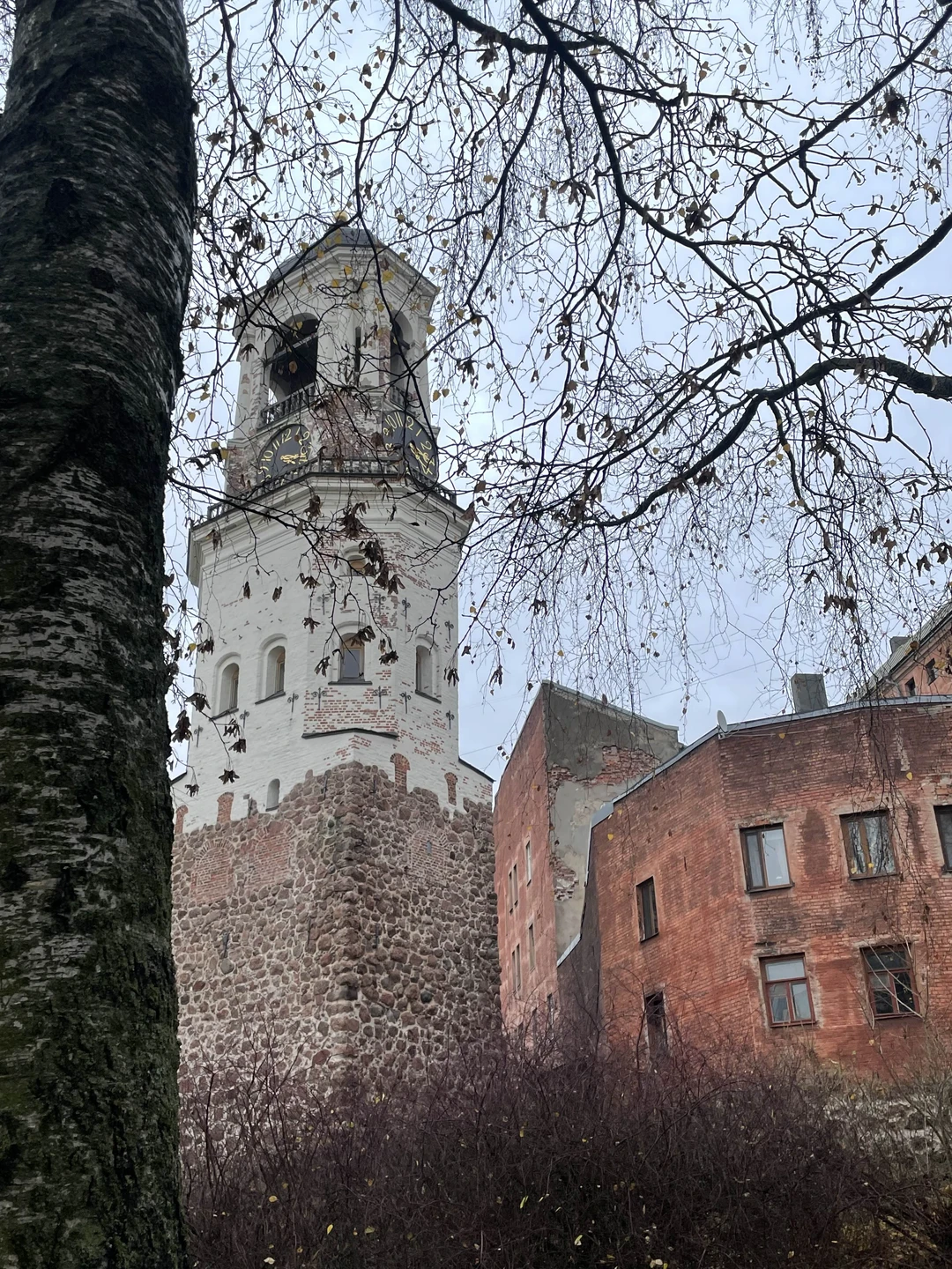 Отзыв о экскурсии "Выборг: путешествие в Скандинавию" — фото 1