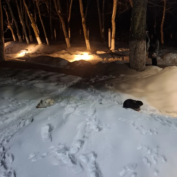 Фото путешественника — 4