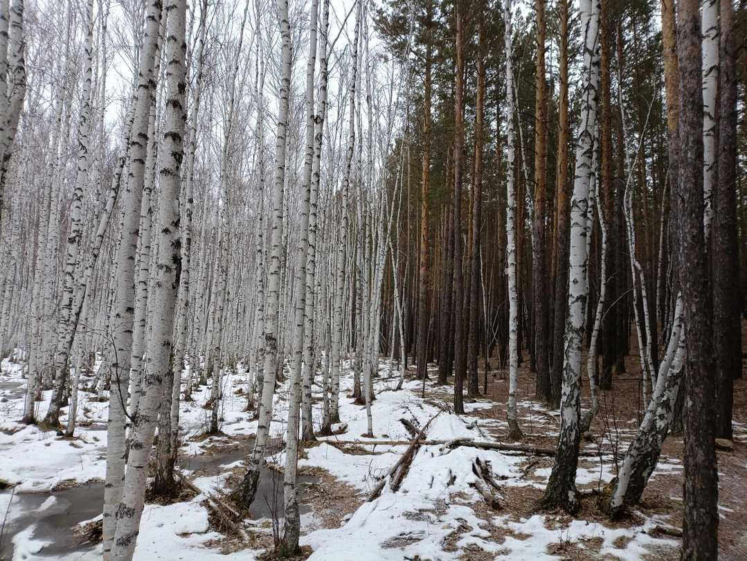 Фото путешественника — 4