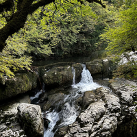 Отзыв о экскурсии "Каньоны и водопады — тайные сокровища западной Грузии" — фото 2