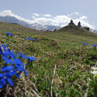 Отзыв о экскурсии "Кавказский трип: из Северной Осетии в Грузию, Армению и обратно" — фото 1