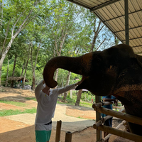 Отзыв о экскурсии "В гости к слонам" — фото 1