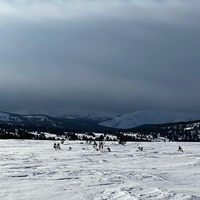 Отзыв о экскурсии "В новый год меня увозит снегоход: драйв на январских каникулах" — фото 1