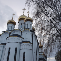 Отзыв о экскурсии "Групповая экскурсия по старинному Переславлю" — фото 3