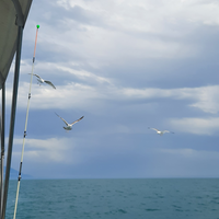 Отзыв о экскурсии "Рыбалка на Чёрном море в мини-группе" — фото 3