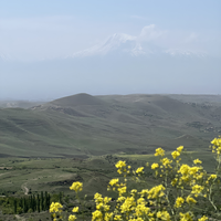 Отзыв о экскурсии "Гарни, Гегард и Симфония камней: лучшее в окрестностях Еревана" — фото 1