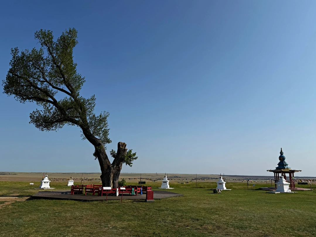 Отзыв о экскурсии "Ночь в калмыцкой степи: по следам кочевников" — фото 3