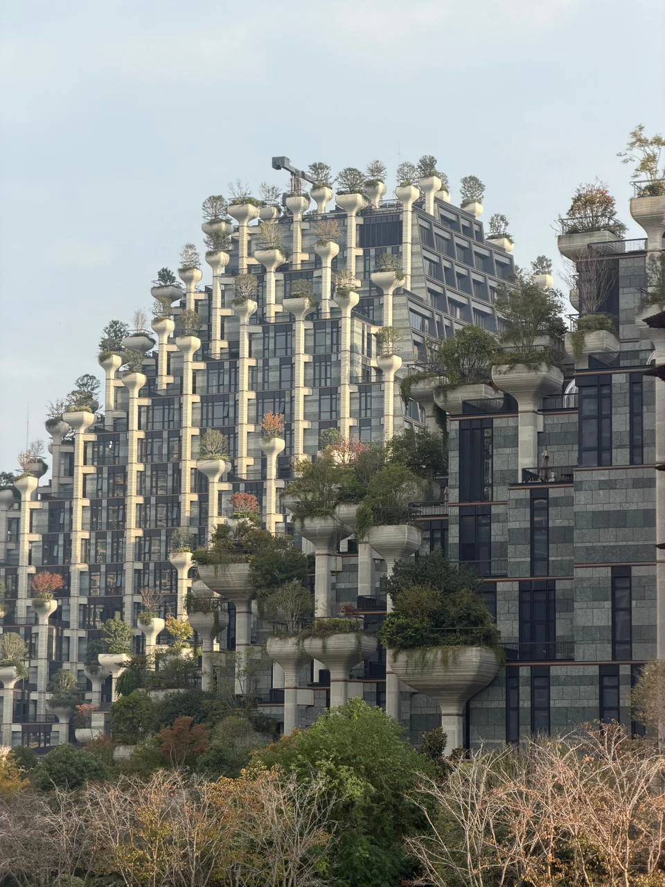 Отзыв о экскурсии "Архитектурная прогулка по Шанхаю — с профи" — фото 1