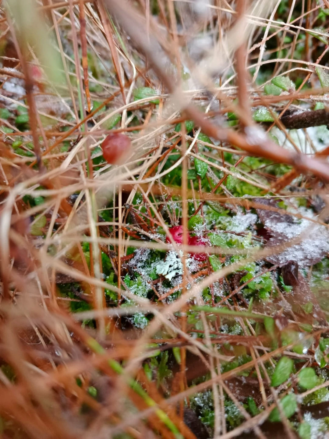 Фото путешественника — 5