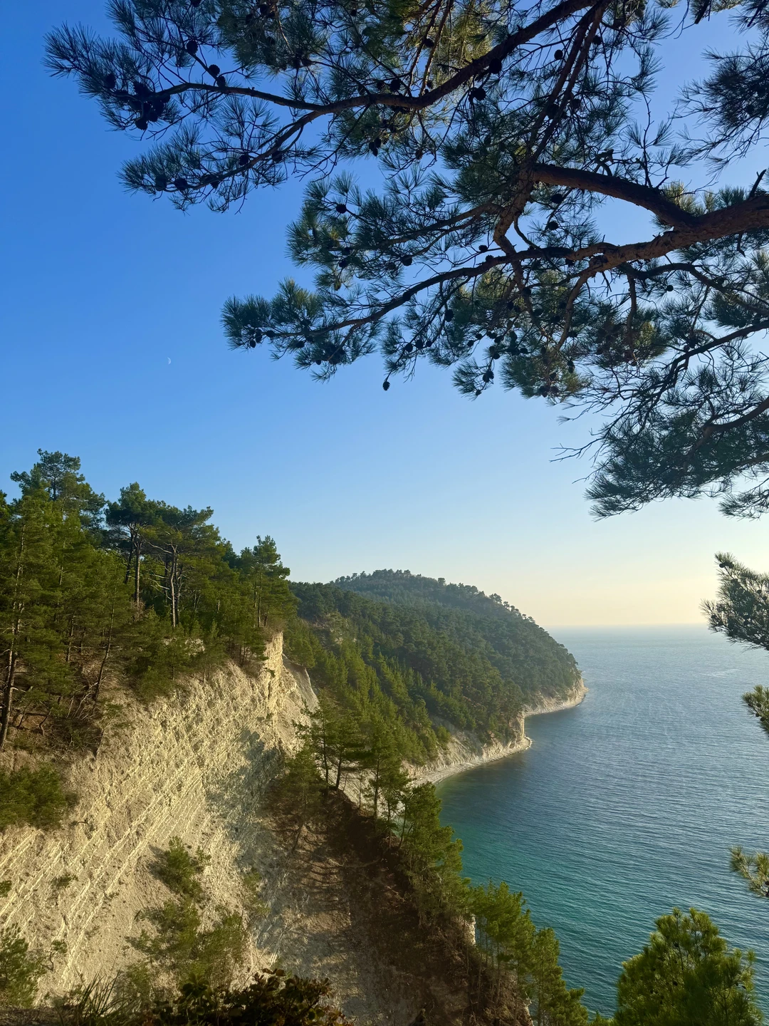 Отзывы об экскурсиях в Геленджике