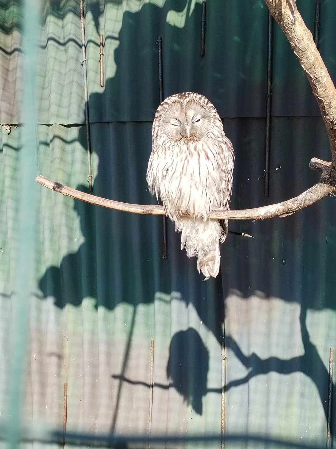 Фото путешественника — 3