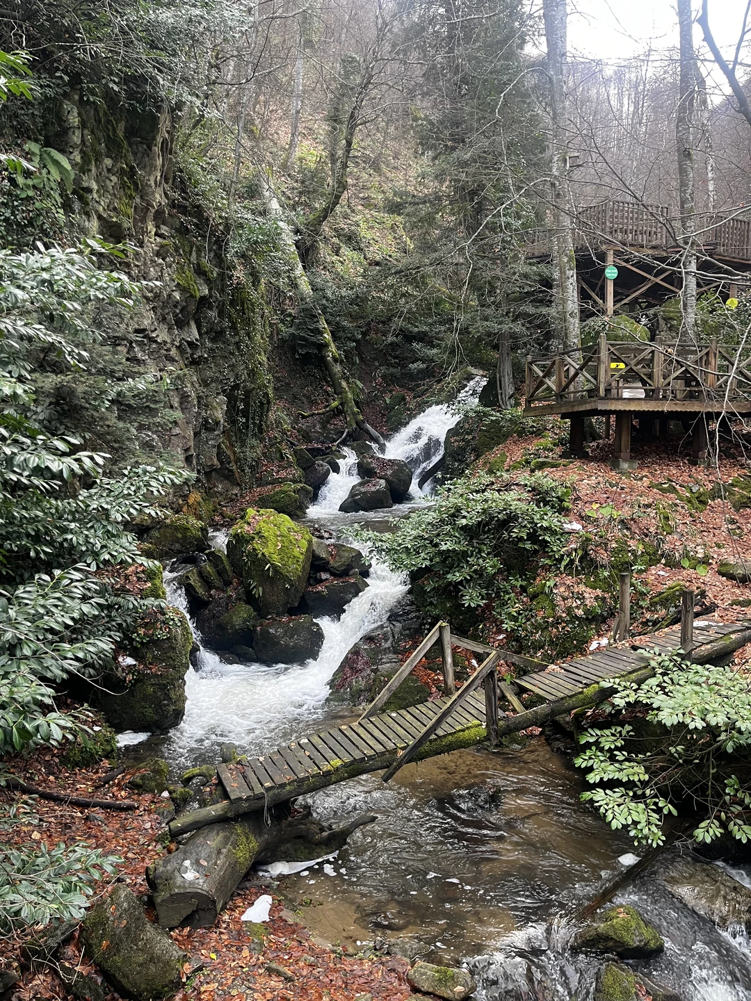 Фото путешественника — 2