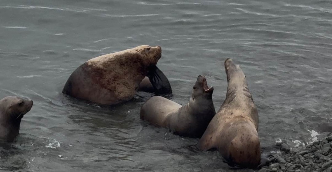 Фото путешественника — 2