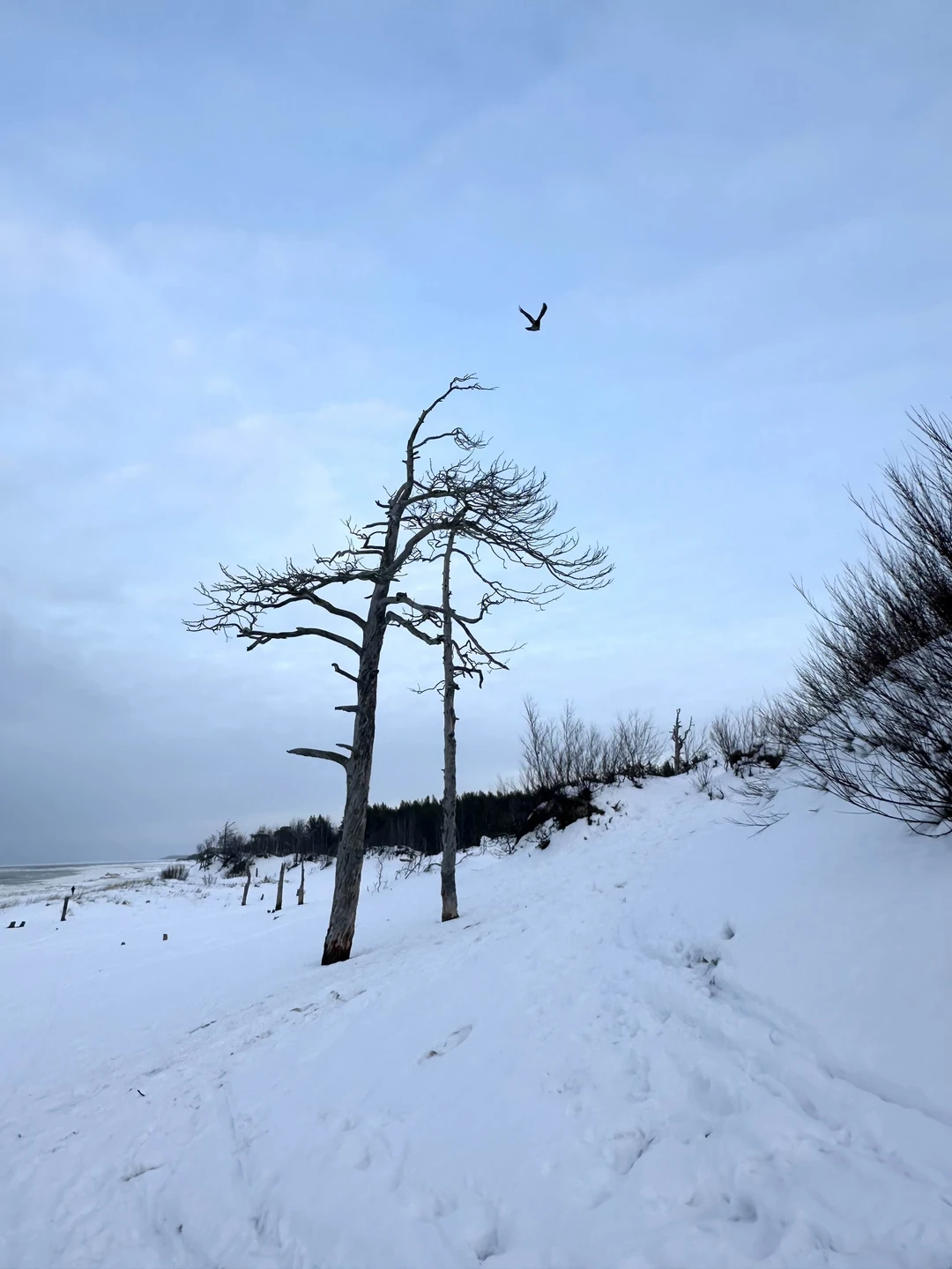 Отзыв о экскурсии "К Белому морю на остров Ягры" — фото 3