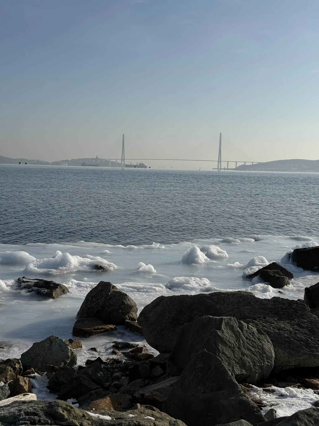 Отзыв о экскурсии "Владивосток и остров Русский" — фото 2