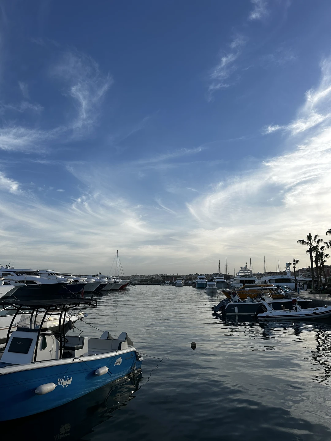 Отзыв о экскурсии "Хургада глазами зимовщицы" — фото 1