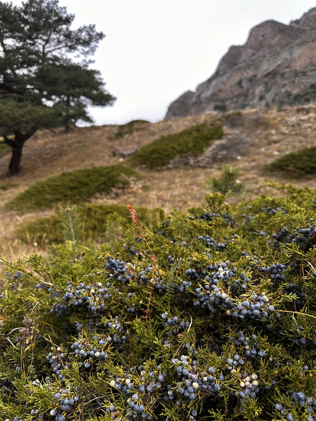Отзыв о экскурсии "Необычный маршрут по Кабардино-Балкарии: индивидуальное путешествие на внедорожнике" — фото 5