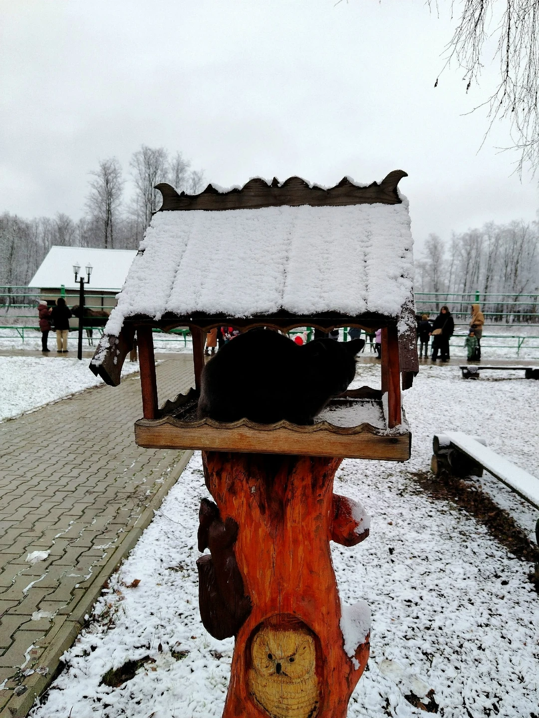 Фото путешественника — 7