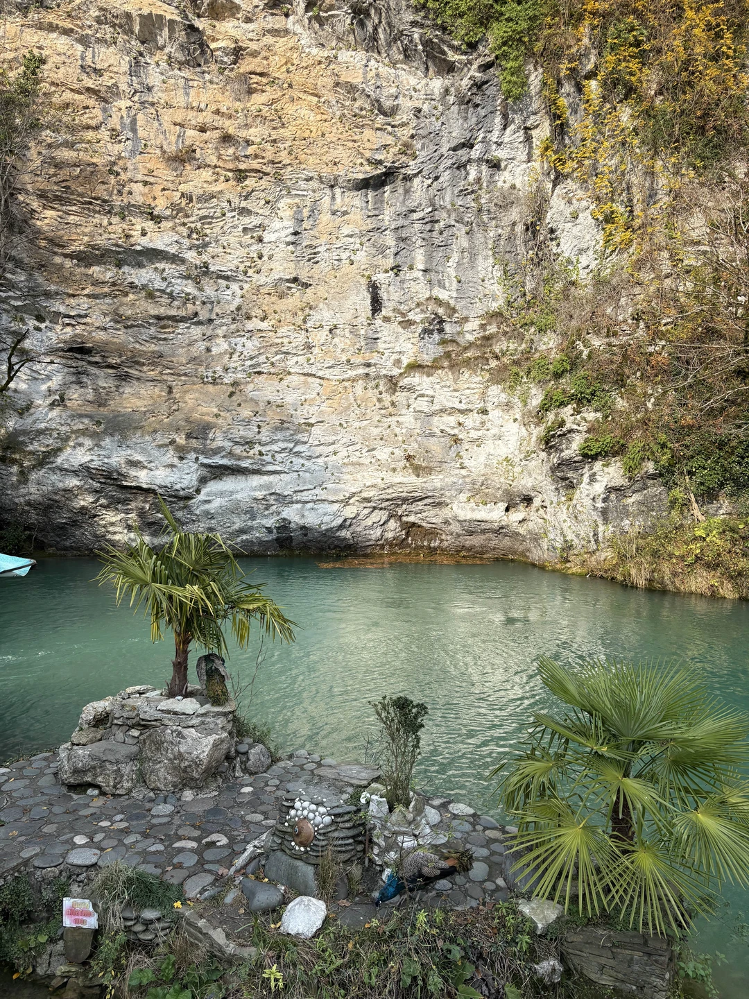 Отзывы об экскурсиях в Сочи