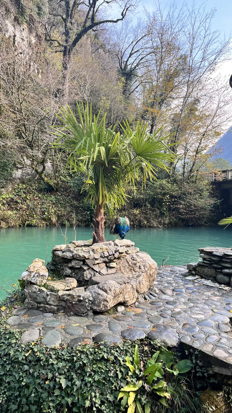 Отзыв о экскурсии "Абхазия с открытки — из Сочи и Адлера" — фото 7