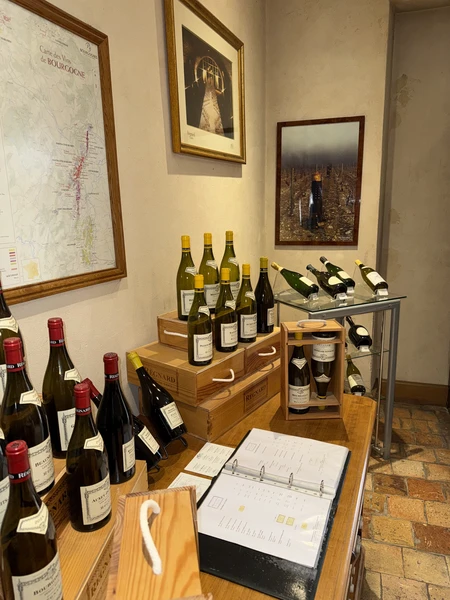 Фото путешественника — 4